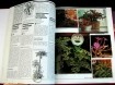 3 kamerplant boeken:gezondheid/cactussen/kamerplant,496 blz