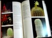 3 kamerplant boeken:gezondheid/cactussen/kamerplant,496 blz
