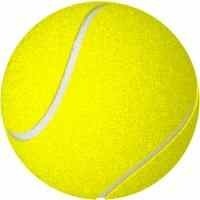 Gebruikte tennisballen Tennisrokjes Tennistas DVD