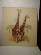 Giraffes tekening (reproduktie) 40 x 43 cm