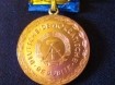 DDR medaille 10 j,trouwe dienst in pedagogisch werk,gst
