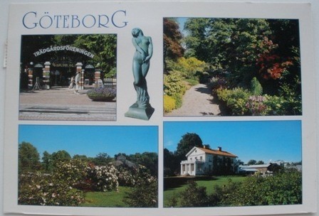 Ansichtkaart Göteborg Trädgardsföreningen