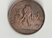 medaille of penning verleend voor reddingen