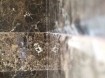 Marmer wandbekleding - Natuursteen Redstone asd