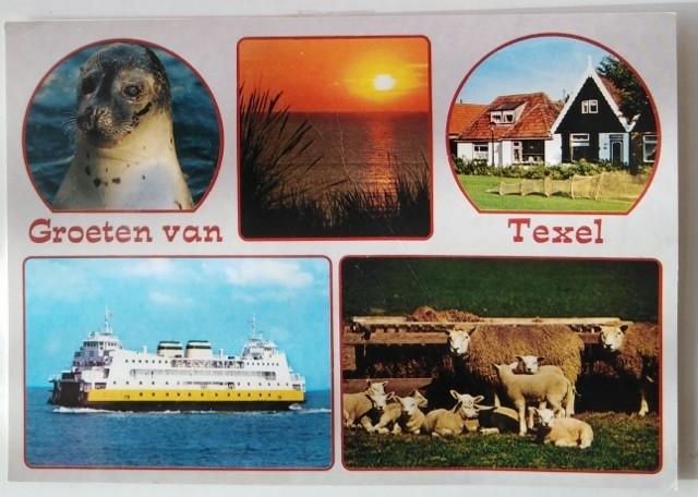 Ansichtkaart - Groeten van Texel - 1988