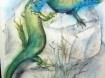 Smaragdhagedis,tekening,K.Jaude, repro aquarel, 40x43 cm,gs…
