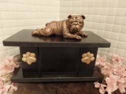 Engelse Bulldog op urn