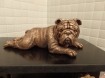 Engelse Bulldog op urn
