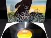 LP soundtrack Watership Down,NL(p),1978,Label:CBS 70161, gs…
