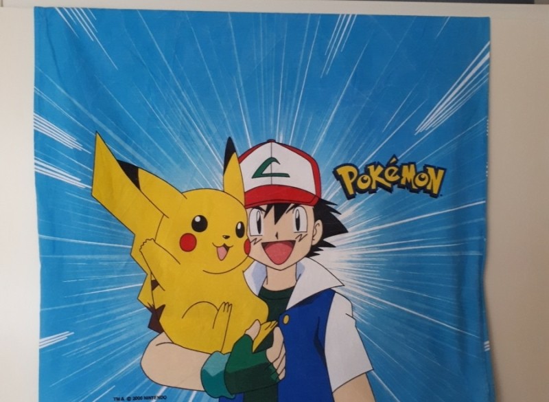 Pokémon kussensloop, collectors item