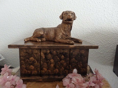 Labradorhond beeld op urn als set te koop of los te koop