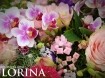 bloemsierkunst Florina Julianadorp