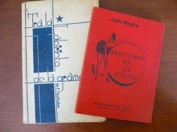 2 Esperanto boeken; 1 Lernolibro 1 Legolibro