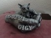 Chihuahua memorial hand incl. beeldje en tekst als set
