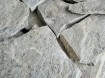 breukruwe flagstones Kavala Grey Quartsiet 3/5 cm dik
