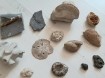 Diverse fossielen