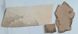 Fossielen Mangaan Dendrieten uit Duitsland