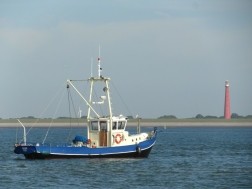 IJsselmeerkotter