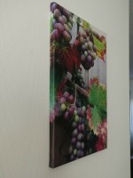 Druiven op canvas