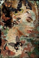 Glasschilderij vrouw met vlinders | 702