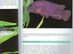 Encyclopedie van Aquarium vissen