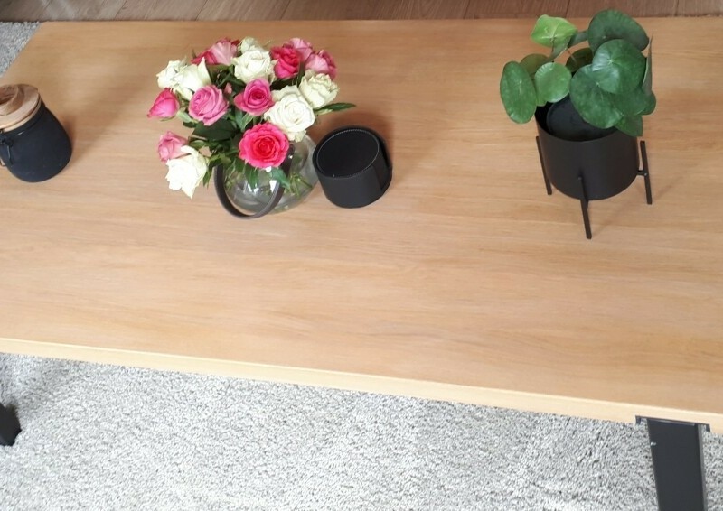 SALONTAFEL BERT PLANTAGIE SPIKE EIKEN 140x70 x37 CM 