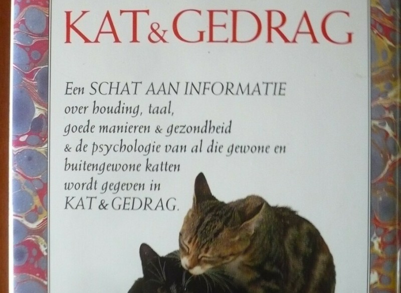 Kat & Gedrag