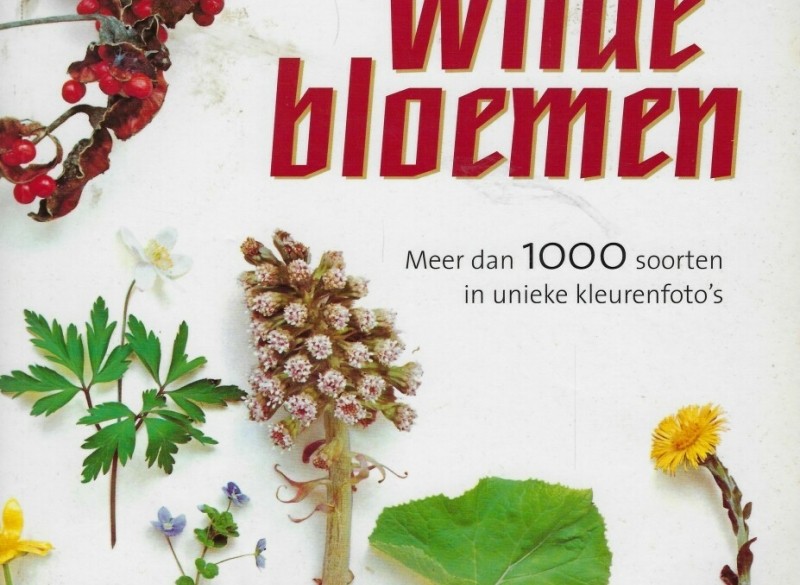 Boek Wilde Bloemen Meer dan duizend soorten.