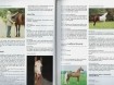 Paarden Encyclopedie .