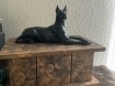 Dobermann hondenbeeld op urn als set of los beeld te koop