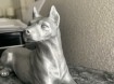 Dobermann hondenbeeld op urn als set of los beeld te koop