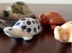 Schildpadden beeldjes