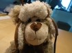 Te koop pluche knuffelhond met sjaal en muts (hoogte: 25 cm…