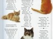 Boek Katten meer dan 250 soorten.
