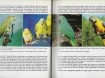 Boek Papegaaien in kleur.