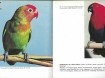 Boek Papegaaien in kleur.