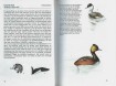 Boekwerk Watervogels meer dan honderd soorten