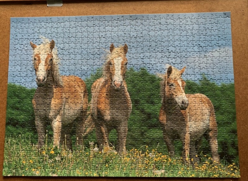 Leuke Paarden puzzel