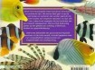 Boek Zee aquarium mini Encyclopedie 
