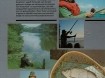 Boekwerk 600 Vistips voor de Sportvisserij