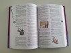 Geïllustreerd jeugdwoordenboek van Winkeler Prins
