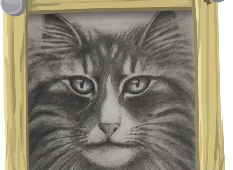 Wil je een unieke zelfgemaakte tekening van je kat?