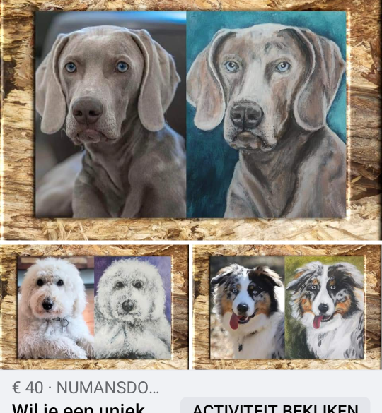 Wil je een uniek schilderij van je hond of kat op doek