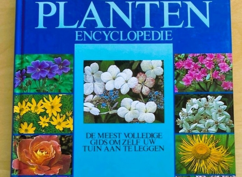 Deltas Grote Tuinplanten Encyclopedie