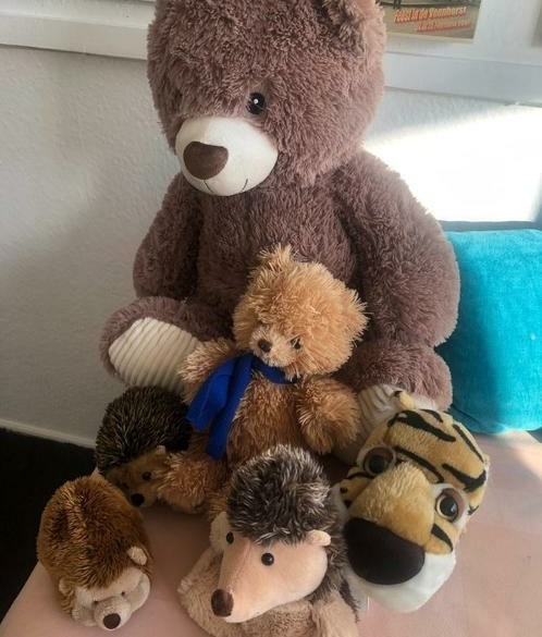 lieve knuffels en nieuwe kleine knuffels 