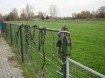 Paarde rijkoets voor twee paarden 