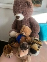 lieve knuffels en nieuwe kleine knuffels 