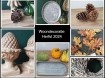 Herfst woondecoratie