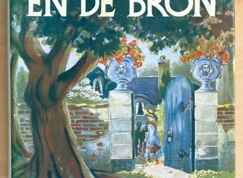 Boek: De Ballade en de Bron van Rosamond Lehmann