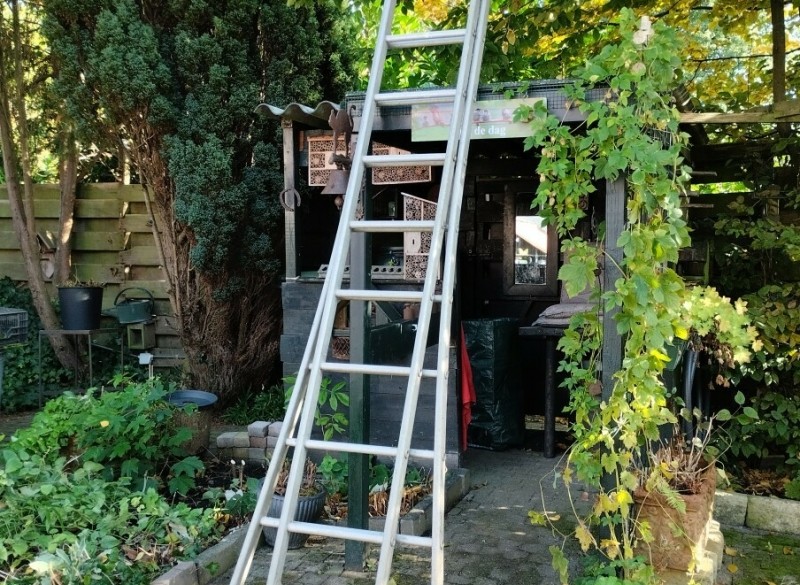 Ladder